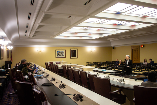 Kerstin Sjoberg testifying in front of the Subcommittee